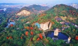 柯岩最新爆料新闻,揭秘娱乐圈惊人内幕